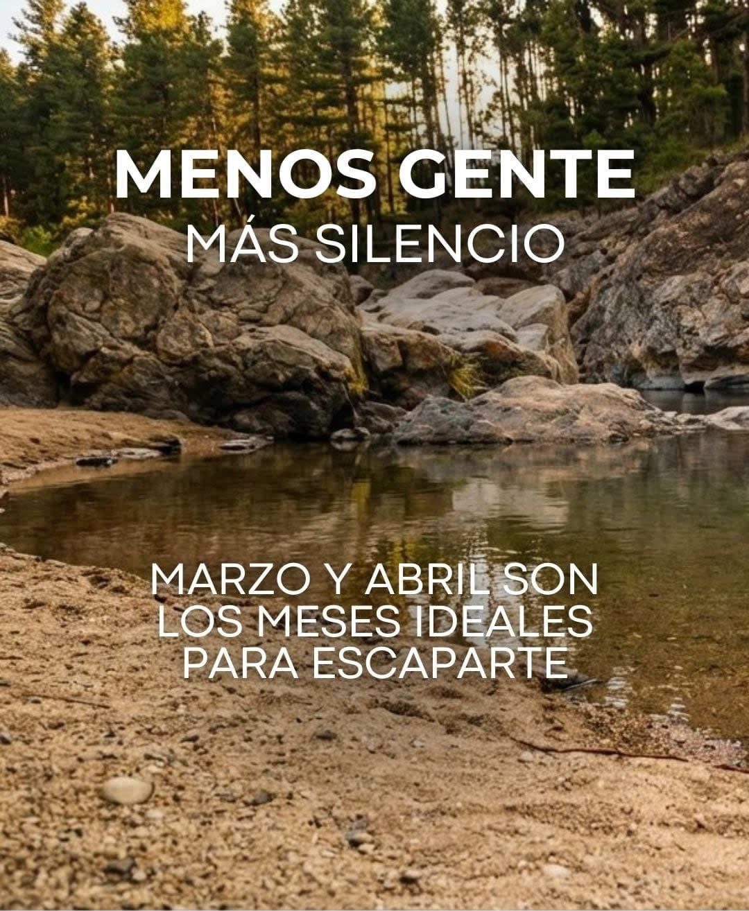 WhatsApp Image 2026-02-24 at 17.02.58