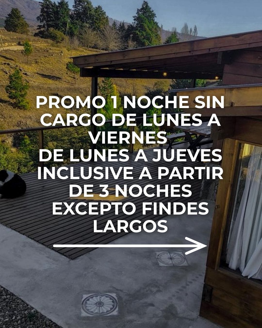 WhatsApp Image 2026-02-24 at 17.02.59 (1)