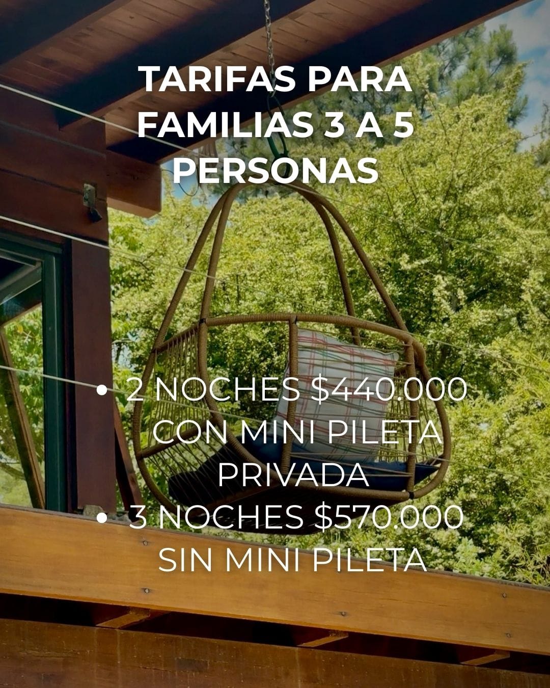 WhatsApp Image 2026-02-24 at 17.02.59